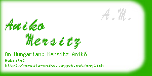 aniko mersitz business card